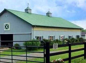 Unique, Affordable, Fear-Free, Preventative Veterinary Care in Loudoun County